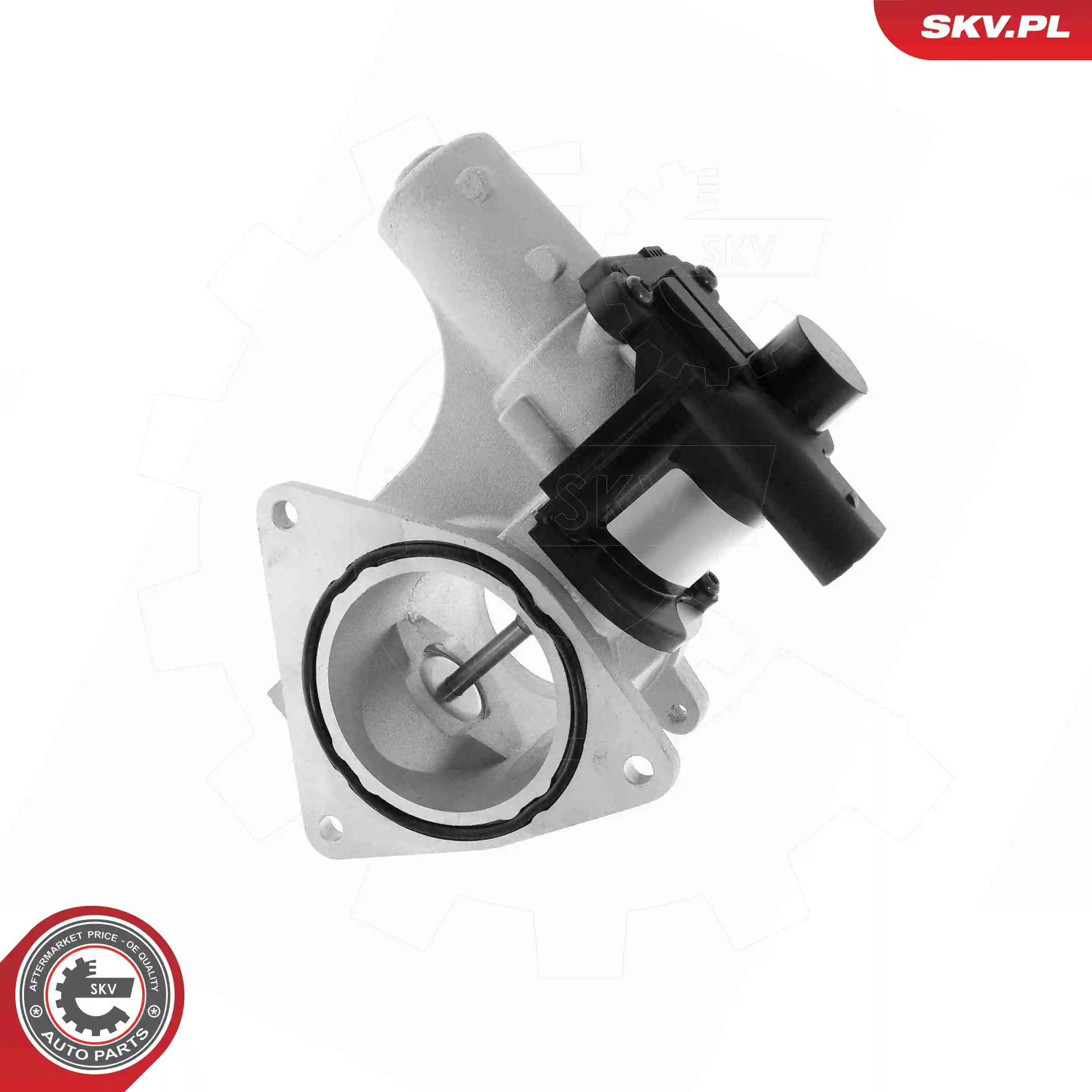 EGR Valve